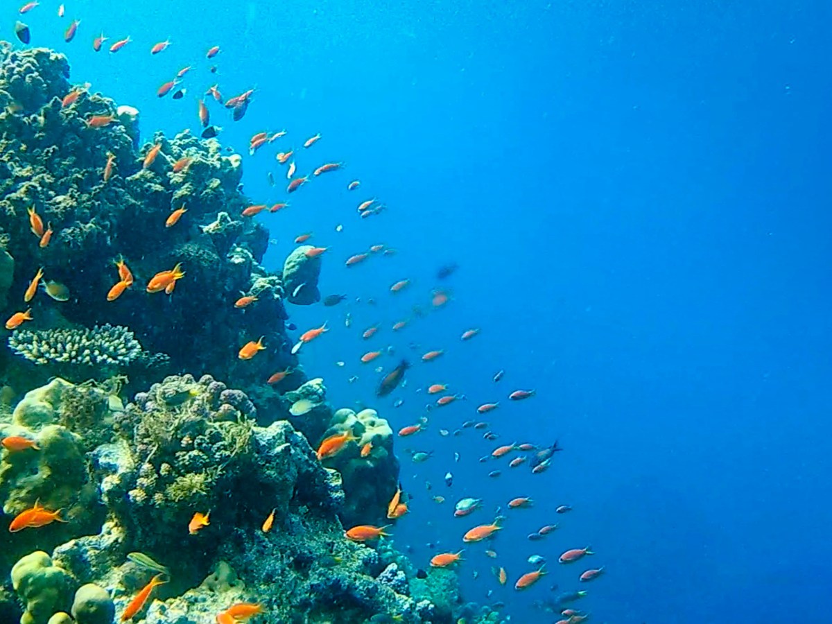 Sudan hat einen&nbsp;Meerzugang?