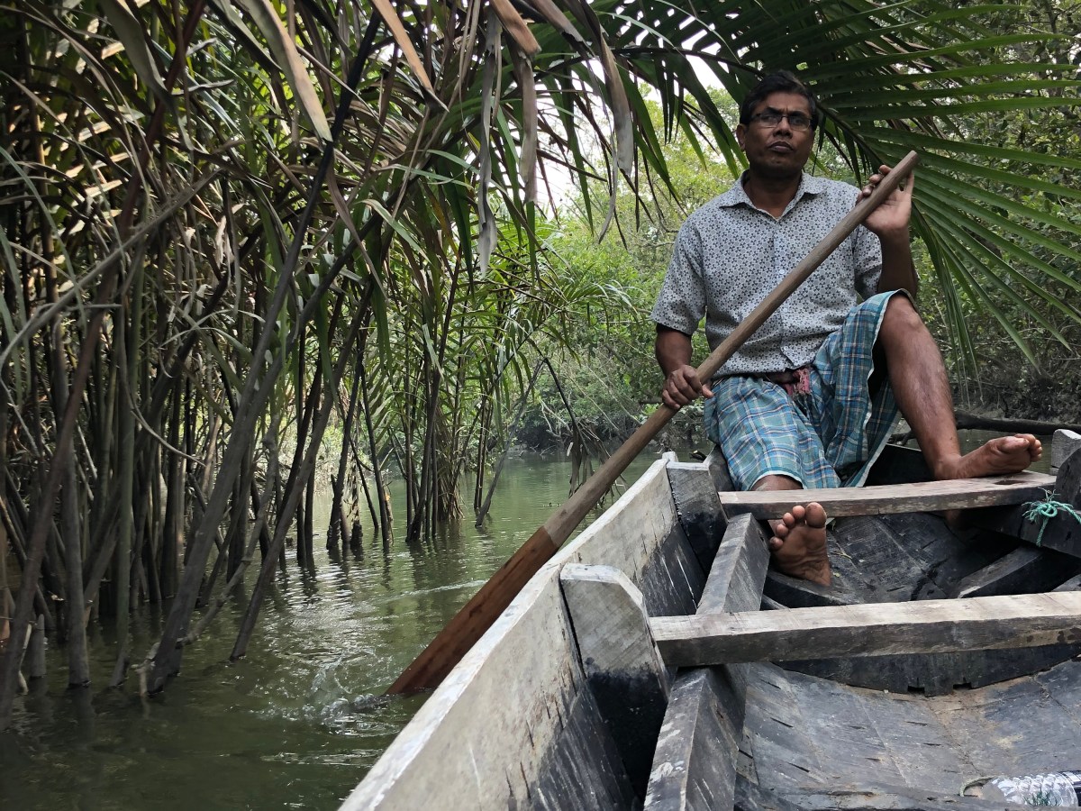 Wo kommt eigentlich Mogli&nbsp;her?