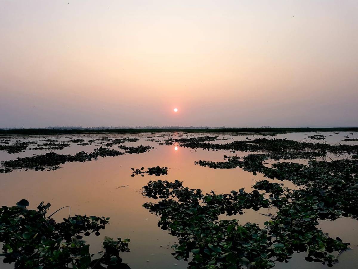 Da wo der Tee&nbsp;wächst