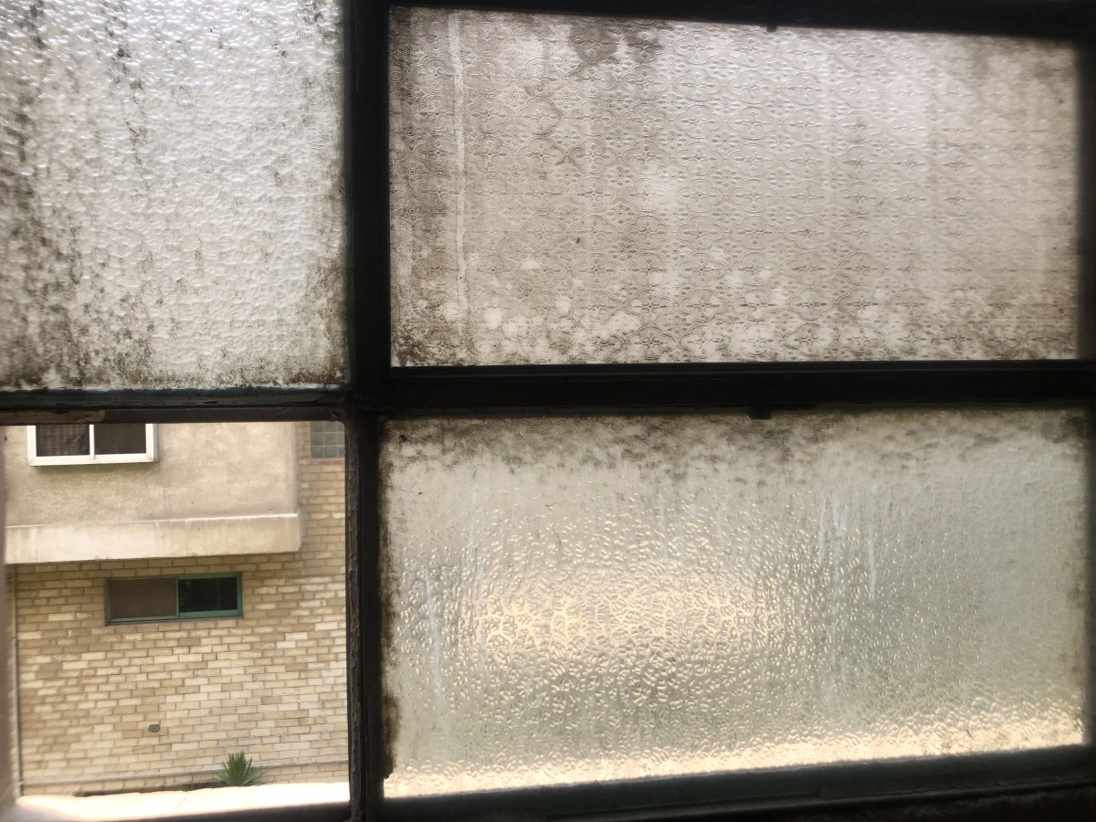 Krieg – was ist das&nbsp;eigentlich?