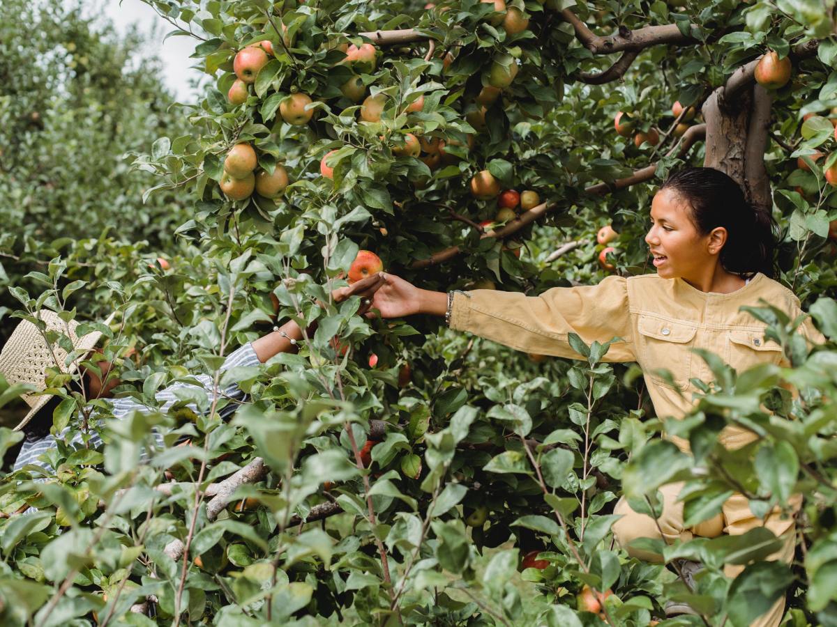 Who does the world&nbsp;need?